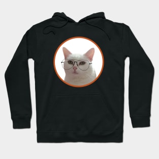 Cute Cat With Glasses Hoodie